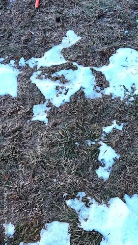 Snowman is melting in warm day. The grass begins to show as the winter snow starts to fade away. Spring is approaching in this rural area. 