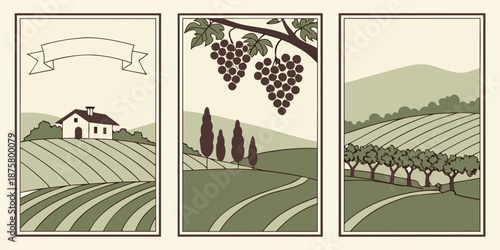 "2027 Vineyard Triptych – Stylized Rural Scenes with Farmhouse, Grapes, and Terraced Fields"