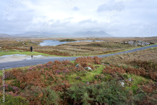 Fotografie A desolate bog landscape with a body of water in the middle