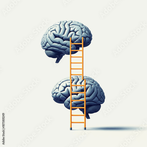 A surreal illustration of two brains connected by a ladder, symbolizing cognitive development and mental growth.