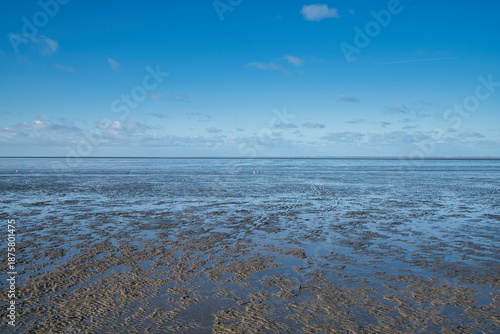 sea ground during ebb tide