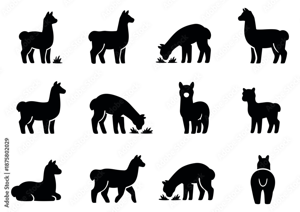 Obraz premium Simple silhouette llama icon set featuring llamas in various poses for design projects