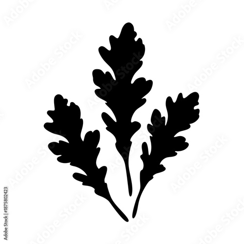 Black and white botanical illustration of arugula leaves for food blog and recipe design element