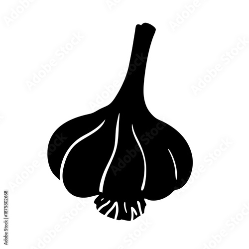 Download fresh garlic bulb vector illustration for cooking ingredients and healthy food concept