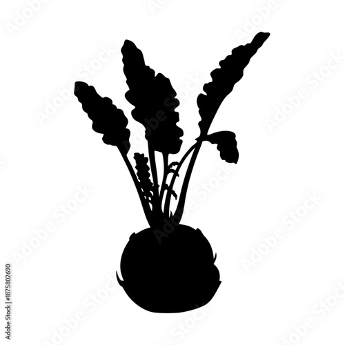 Download black silhouette of kohlrabi plant vector illustration editable eps format for design needs