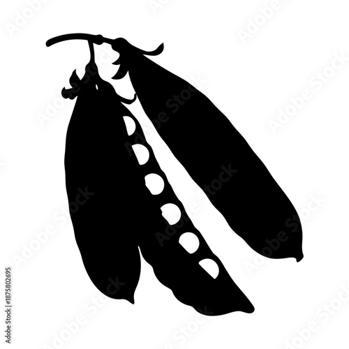Black and white vector illustration of fresh garden peas pea pods healthy eating silhouette art