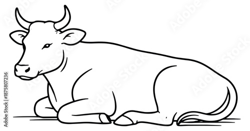 Hand drawn line art illustration of a cow depicting a resting farm animal for agricultural designs
