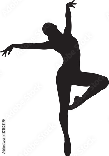 Silhouette of a dancer in midair performing a pose
