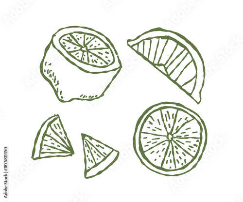 Whimsical Lemon slices doodle hand drawn. Illustration in Mediterranean style.