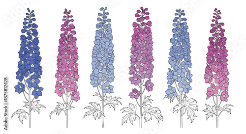 Collection of tall delphinium flower spikes in various shades of blue and purple with detailed line art leaves and stems.