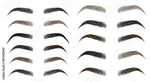 Selection of various eyebrow shapes and thicknesses shown in different colors from light brown to black for beauty and makeup grooming.