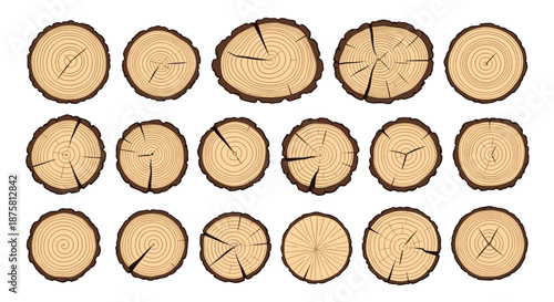 Wood log slices with annual rings and cracks are shown in a collection of eighteen different circular cross sections of tree trunks.