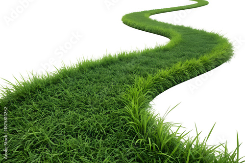 A lush winding grass path curving into the distance on an isolated black background isolated on transparent background