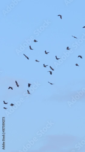 Flock of birds flying from winter forest tree branch