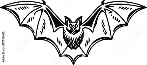 bat animal silhouette vector illustration
