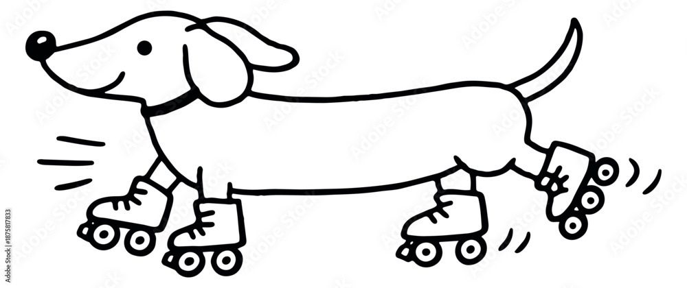 Obraz premium Hand drawn line art illustration of a dachshund dog depicting roller skating for playful pet content
