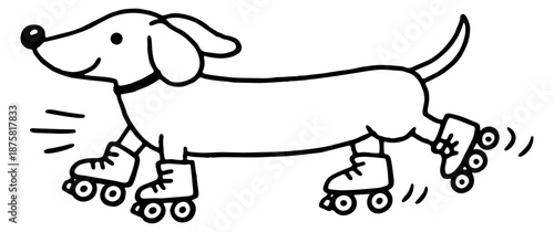 Hand drawn line art illustration of a dachshund dog depicting roller skating for playful pet content