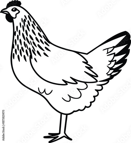 hen domestic bird silhouette vector illustration
