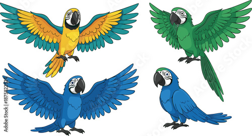 Colorful macaw parrot cartoon illustration set with flying and standing poses, tropical bird characters isolated on white background for wildlife, kids design, and educational concepts