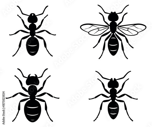 Black silhouette ant icon set featuring different ant types including a winged ant for natural history and pest control designs