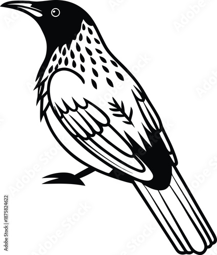 nightingale outline silhouette vector illustration
