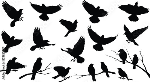 Black silhouettes of birds flying and perched on branches bird silhouettes flying birds