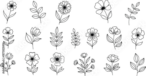 Black and white line of various flowers and leaves on white background line flowers 1