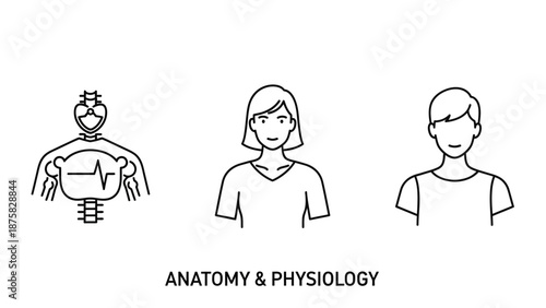 Anatomy and Physiology Icons: Human Body, Male, Female, EKG Line