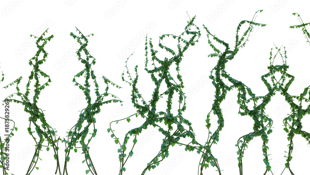 Fototapeta premium Green Dancers: Abstract Vine Silhouettes on White