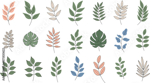 Colorful leaf on white background green blue pink leaves leaf colorful leaves green leaves