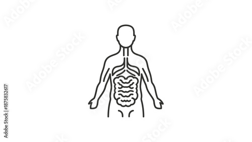 Human Anatomy Digestive System Icon Outline Illustration