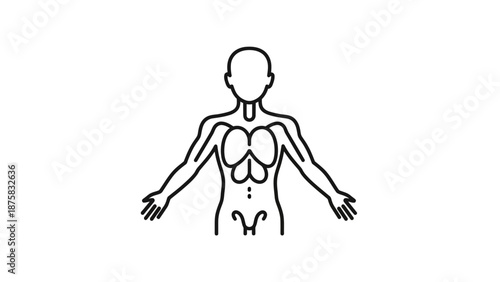 Human Anatomy Icon: Chest Cavity, Rib Cage, Organs Outline