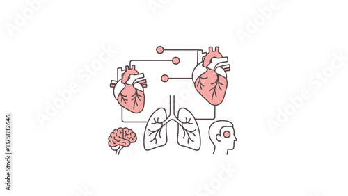 Human Anatomy Icon Set: Heart, Lungs, Brain, and Head