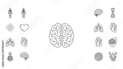 Human Anatomy Icons - Brain, Heart, Lungs, Skeleton, and More - Medical Science