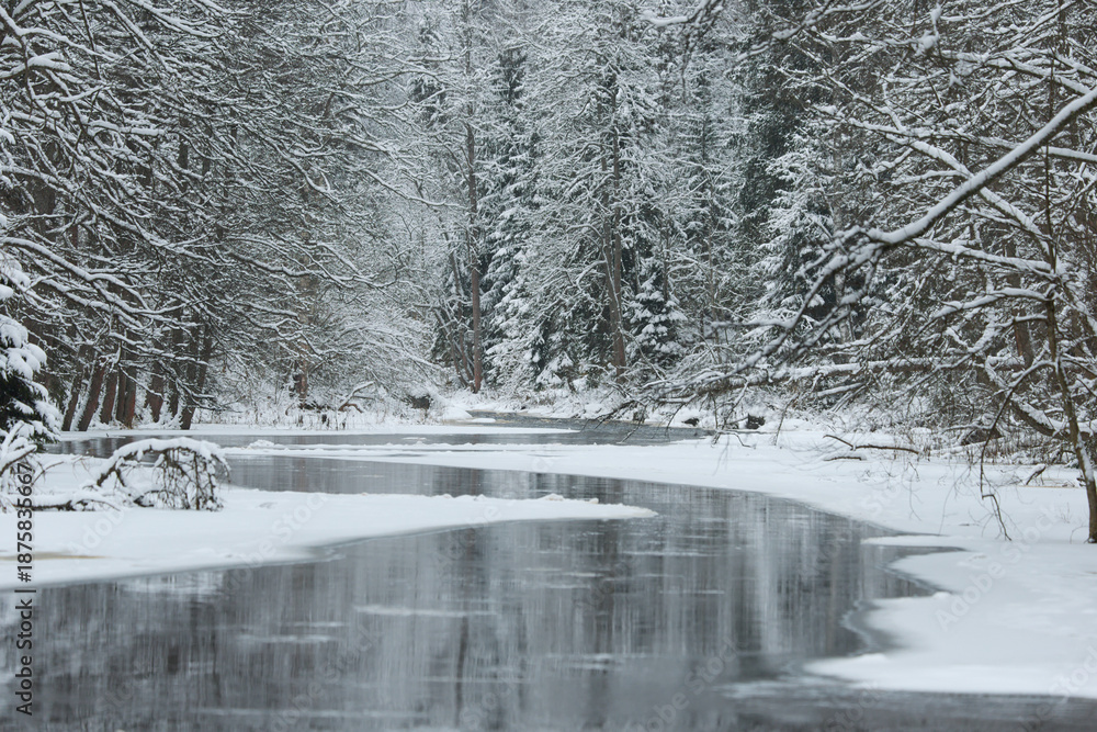 Obraz premium a calm winding river in a snowy forest, trees under the snow in the forest, peace and quiet, reflection on the water, without people