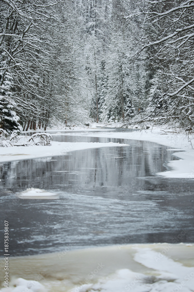 Obraz premium a calm winding river in a snowy forest, trees under the snow in the forest, peace and quiet, reflection on the water, without people