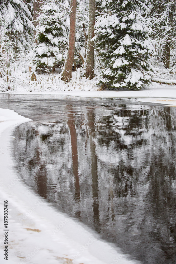 Obraz premium a calm winding river in a snowy forest, trees under the snow in the forest, peace and quiet, reflection on the water, without people