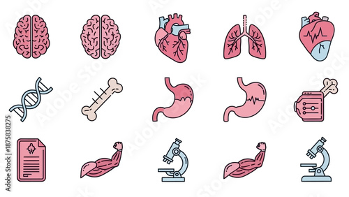 Human Anatomy Icons: Brain, Heart, Lungs, DNA, Bones, Stomach, Muscle