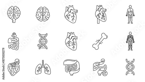 Human Anatomy Icons: Brain, Heart, Lungs, DNA, Skeleton, Organs Set