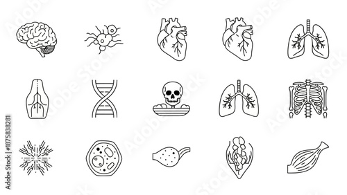 Human Anatomy Icons: Brain, Heart, Lungs, DNA, Skeleton, Cells