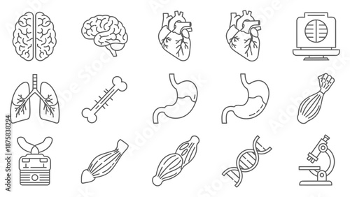 Human Anatomy Icons: Brain, Heart, Lungs, Stomach, Bone, Muscles, DNA, Microscope