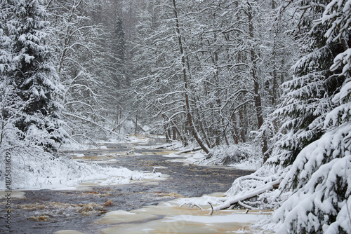 a calm winding river in a snowy forest, trees under the snow in the forest, peace and quiet, reflection on the water, without people