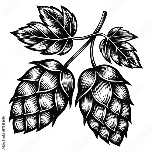 Hop branch with leaves and cones in black and white for brewery logo design beer label and ingredients for brewing vector illustration 191