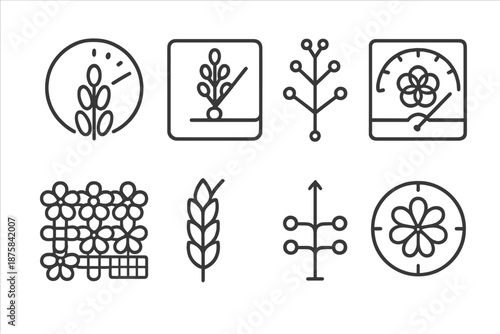 Flower Inflorescence Icons. Line style icons of inflorescence units: spikelet ratio dial, head cluster gauge, branch pattern