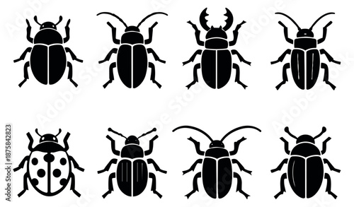 Graphic beetle and insect icon set featuring different insect types for educational designs