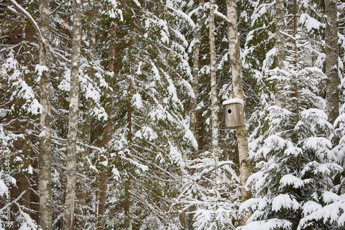 it is snowing heavily in the park, large flakes of snow are slowly falling on tree branches, no people