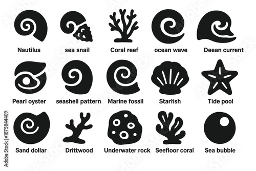 Marine Icons Collection. Solid style icons of Nautilus shell spiral: sea snail, coral reef, ocean wave, pearl oyster, seashell