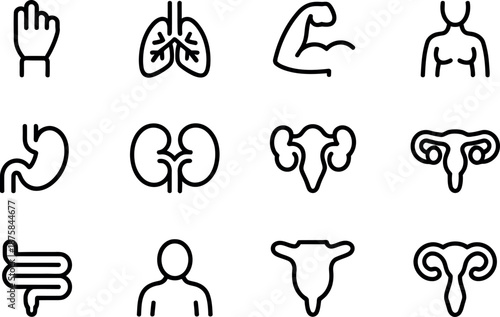 Collection of twelve simplified black line art icons representing various human organs and body parts for medical and anatomical illustration purposes