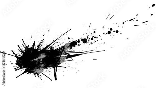 Black ink splatter explosion on white background.