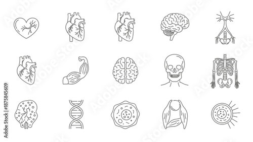 Human Anatomy Icons: Heart, Brain, Skeleton, DNA, Cells, Muscles